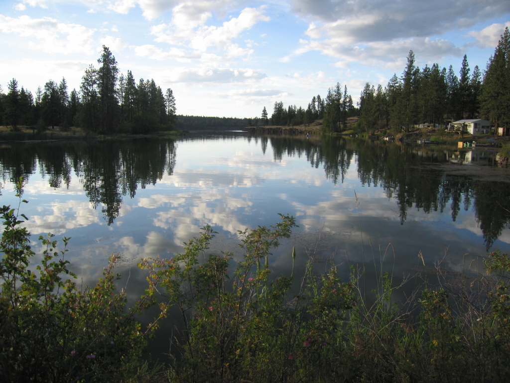 Chapman Lake, near Cheney, Washington 6/25/05 Al Turtle's