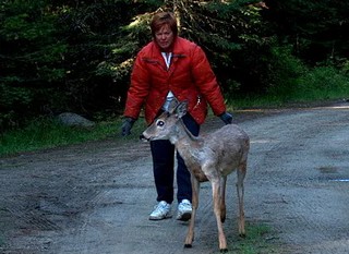 Autonomy